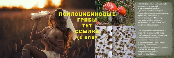 гашик Арсеньев