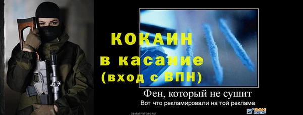 гашик Арсеньев