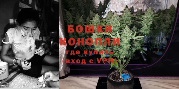 крисы Ростов