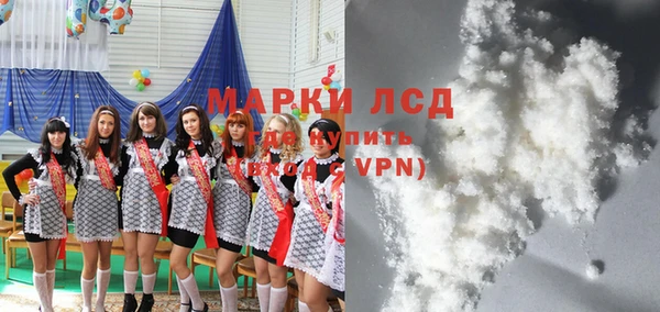 гашик Арсеньев