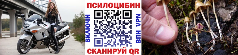 Галлюциногенные грибы мицелий  как найти закладки  Суздаль 